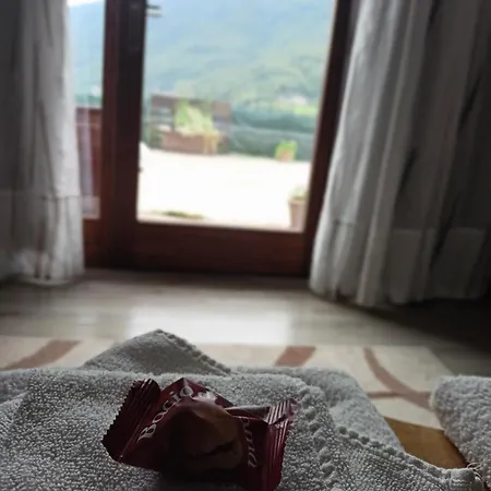 فندق مبيت وإفطار Valchisone 3*