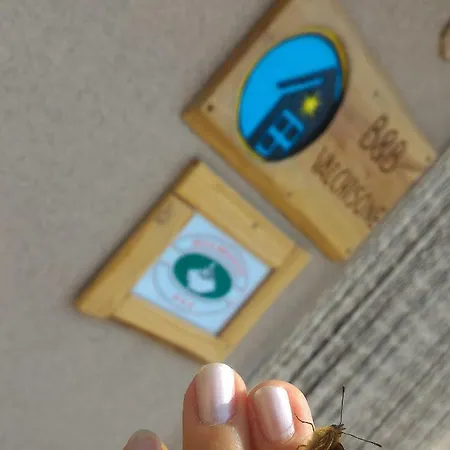 Valchisone 住宿加早餐酒店 Pinasca